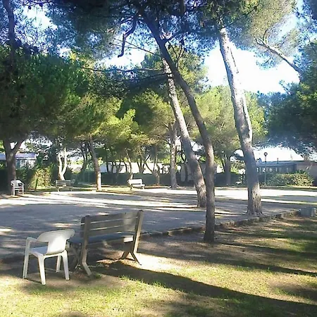 Campingplatz Vm-mobile 3 Ch, 2 Sdb, Convivialite, Detente Et Confort, En Famille Ou Entre Amis Lattes